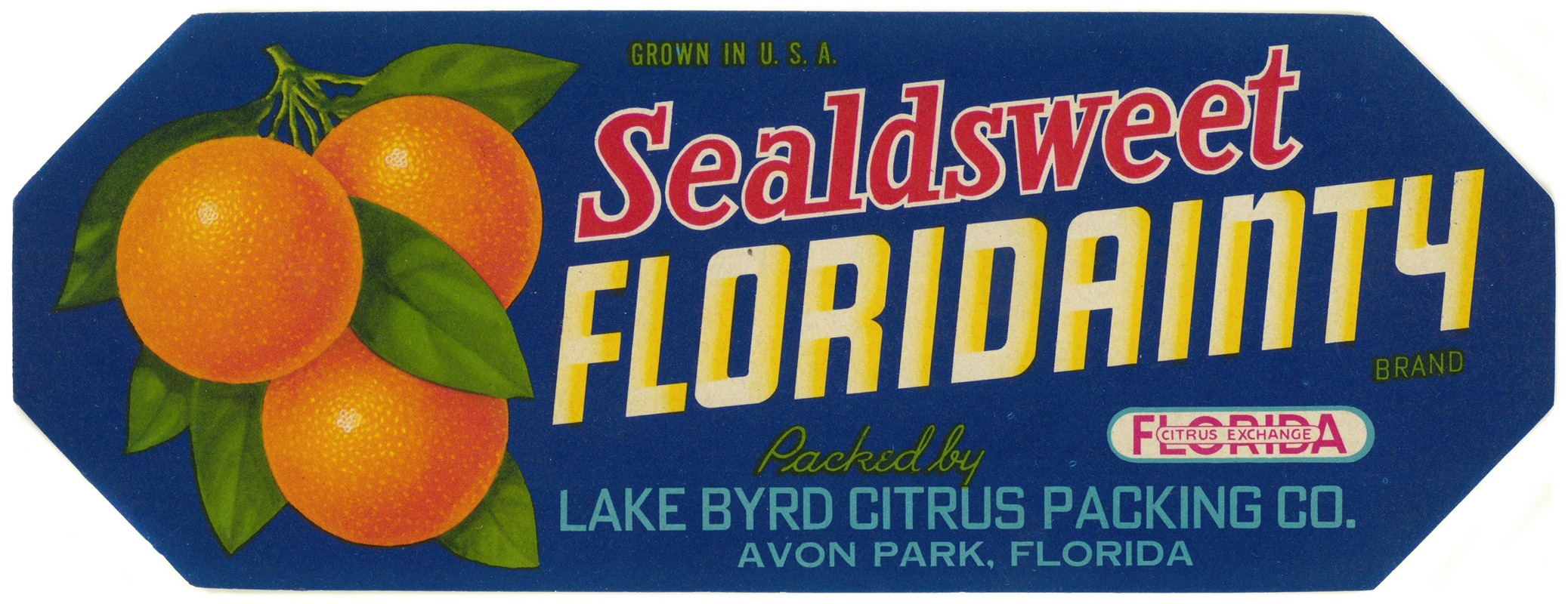 Anonymous - Floridainty Brand Citrus Label