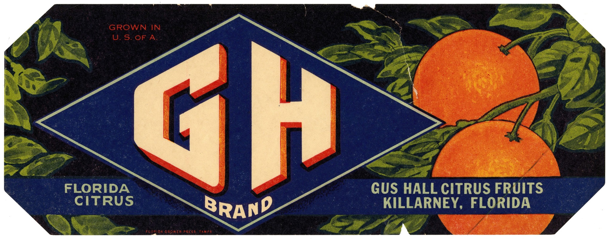 Anonymous - GH Brand Florida Citrus Label