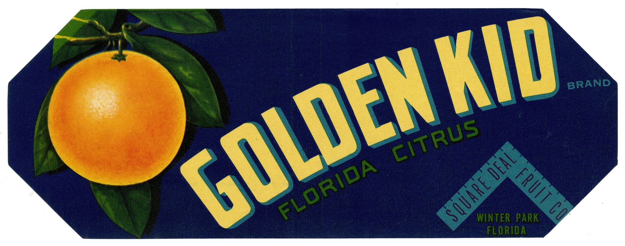 Anonymous - Golden Kid Brand Florida Citrus Label