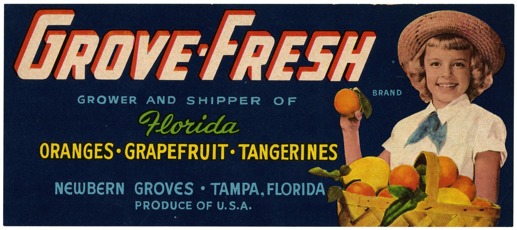 Anonymous - Grove-Fresh Brand Citrus Label