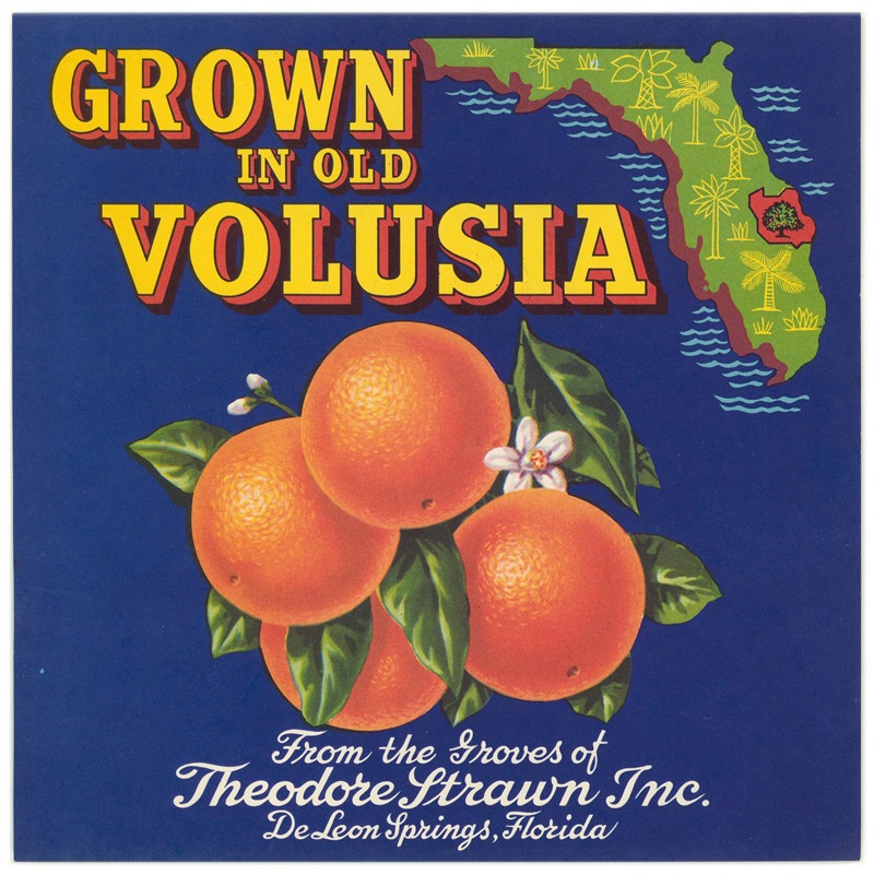 Anonymous - Grown in Old Volusia Can Label