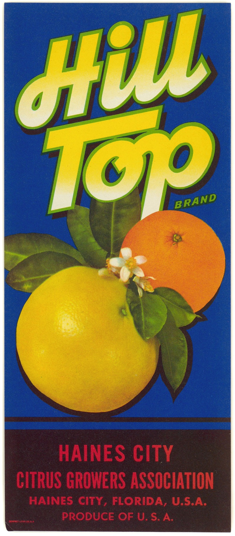 Anonymous - Hill Top Brand Citrus Label