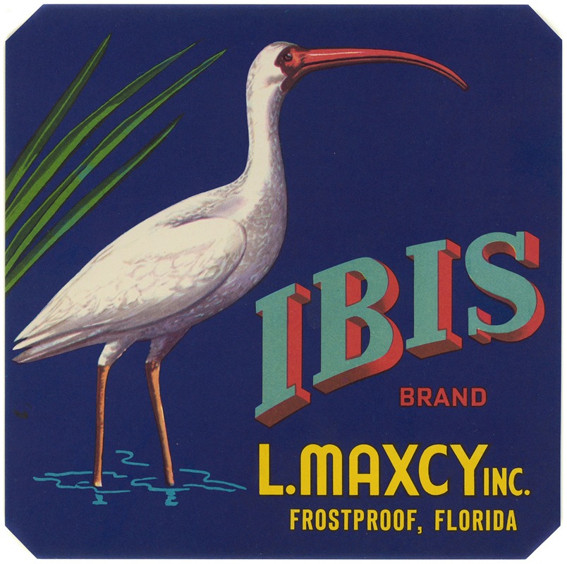 Anonymous - Ibis Brand Fruit Label
