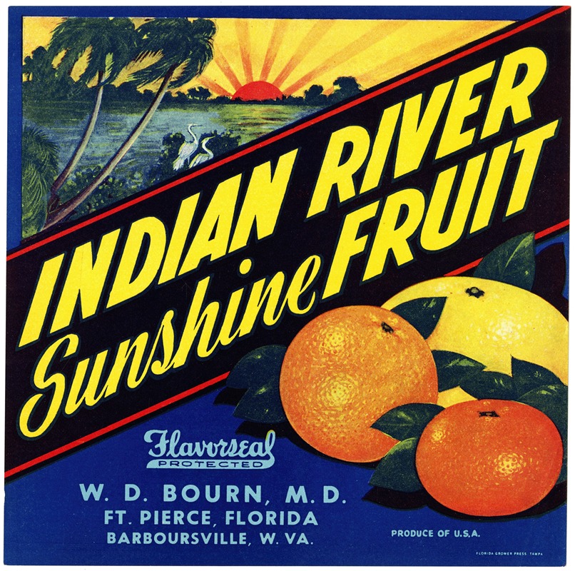 Anonymous - Indian River Sunshine Fruit Citrus Label