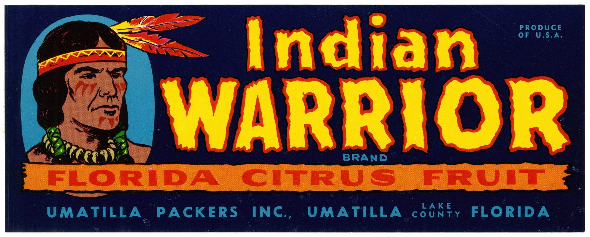 Anonymous - Indian Warrior Brand Florida Citrus Fruit Label