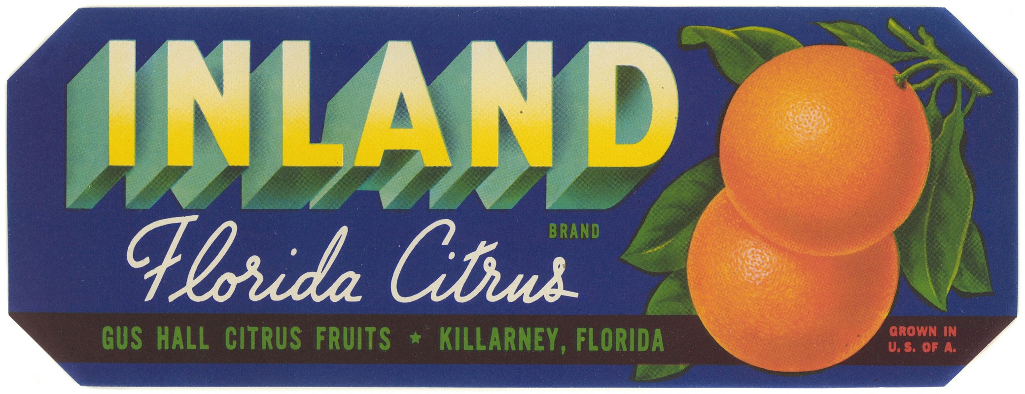 Anonymous - Inland Brand Florida Citrus Label