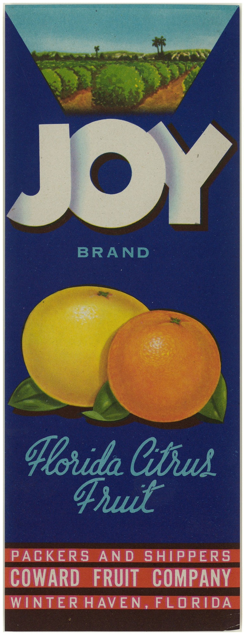 Anonymous - Joy Brand Florida Citrus Fruit Label