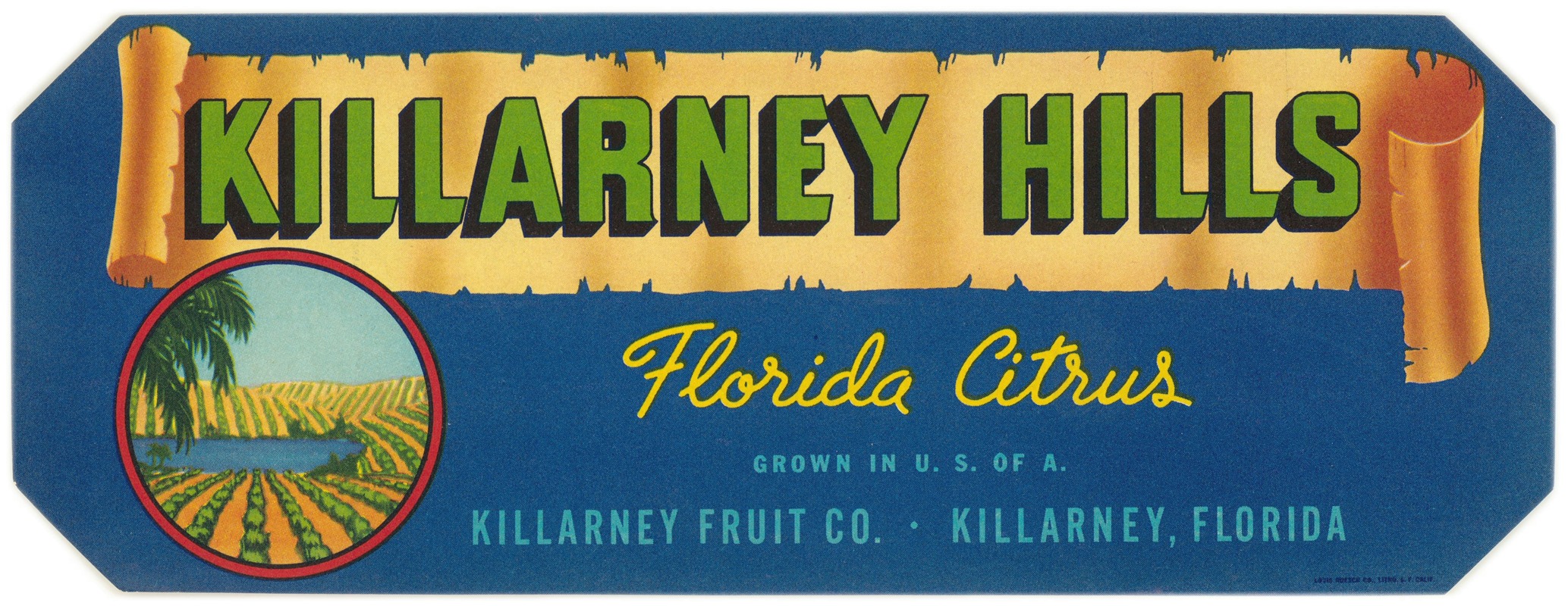 Anonymous - Killarney Hills Florida Citrus Label