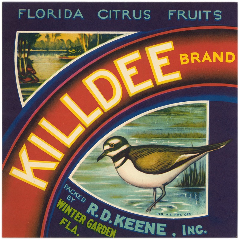 Anonymous - Killdee Brand Florida Citrus Fruit Label