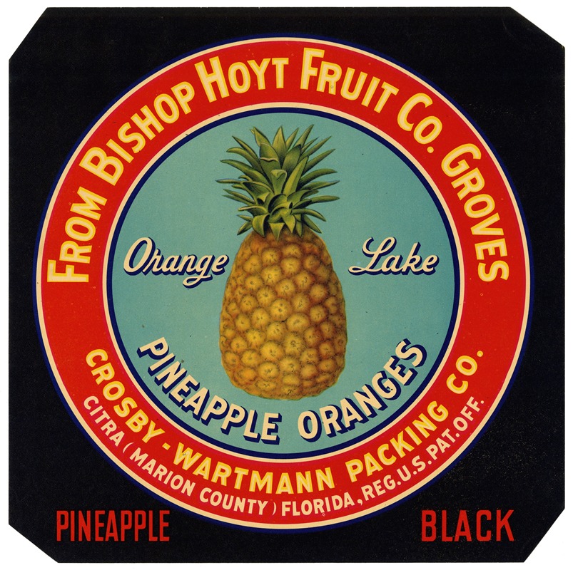 Anonymous - Label for Orange Lake Pineapple Oranges – Black