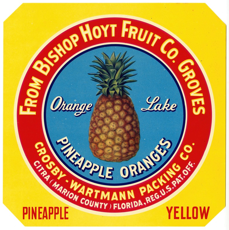 Anonymous - Label for Orange Lake Pineapple Oranges – Yellow