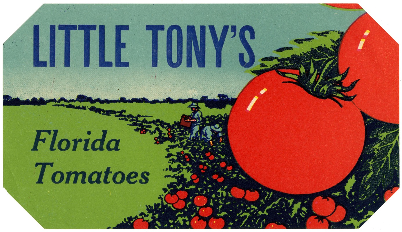 Anonymous - Little Tony’s Florida Tomatoes Label