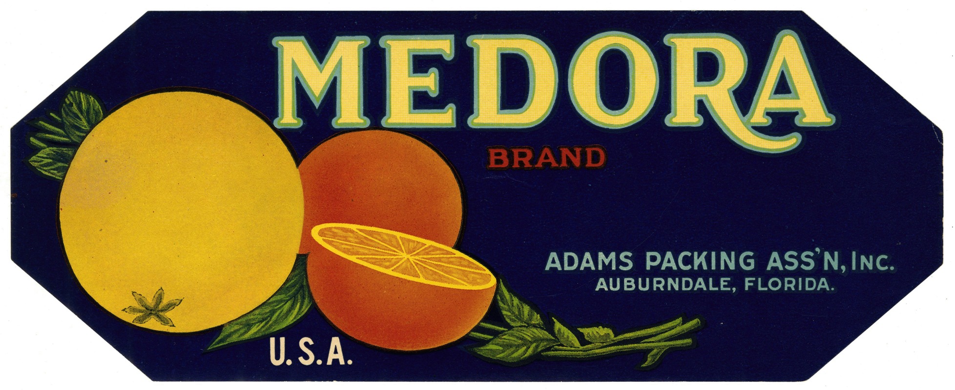 Anonymous - Medora Brand Citrus Label
