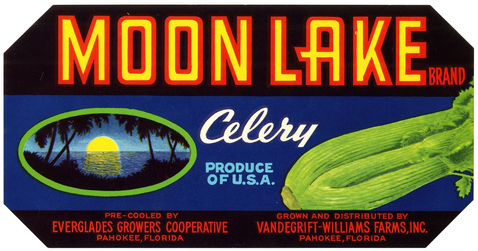 Anonymous - Moon Lake Brand Celery Label