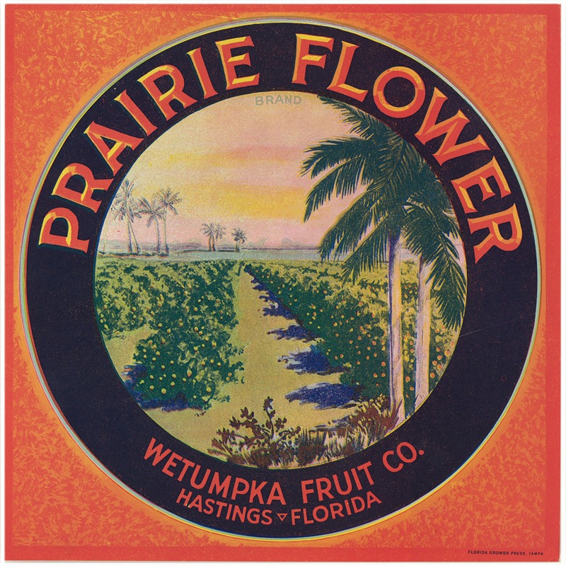 Anonymous - Prairie Flower Brand Fruit Label