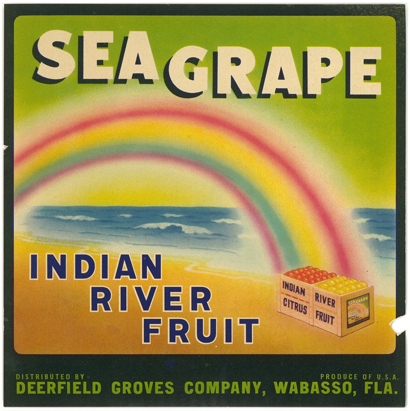 Anonymous - Sea Grape Citrus Label