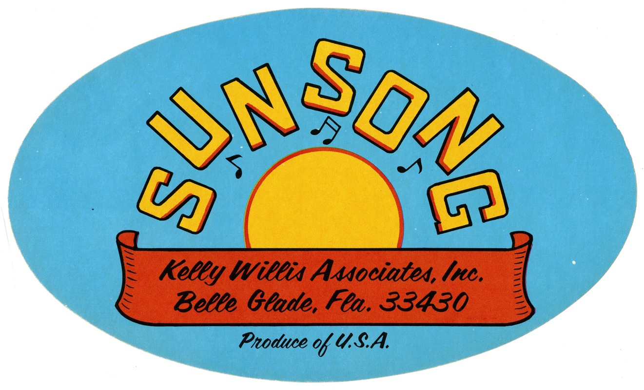 Anonymous - Sun Song Produce Label