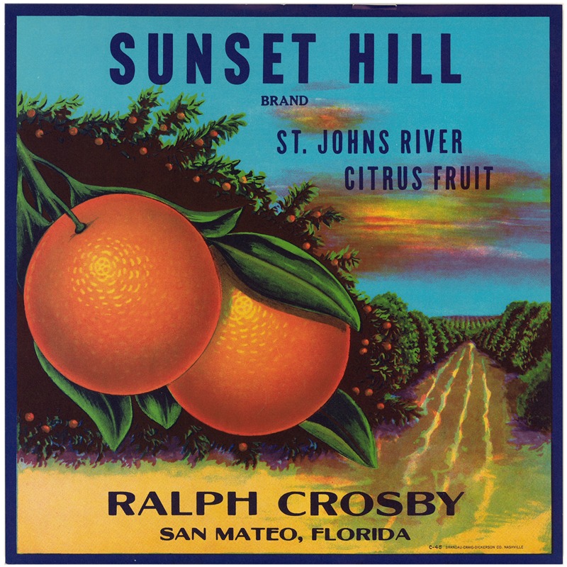 Anonymous - Sunset Hill Brand Florida Citrus Label
