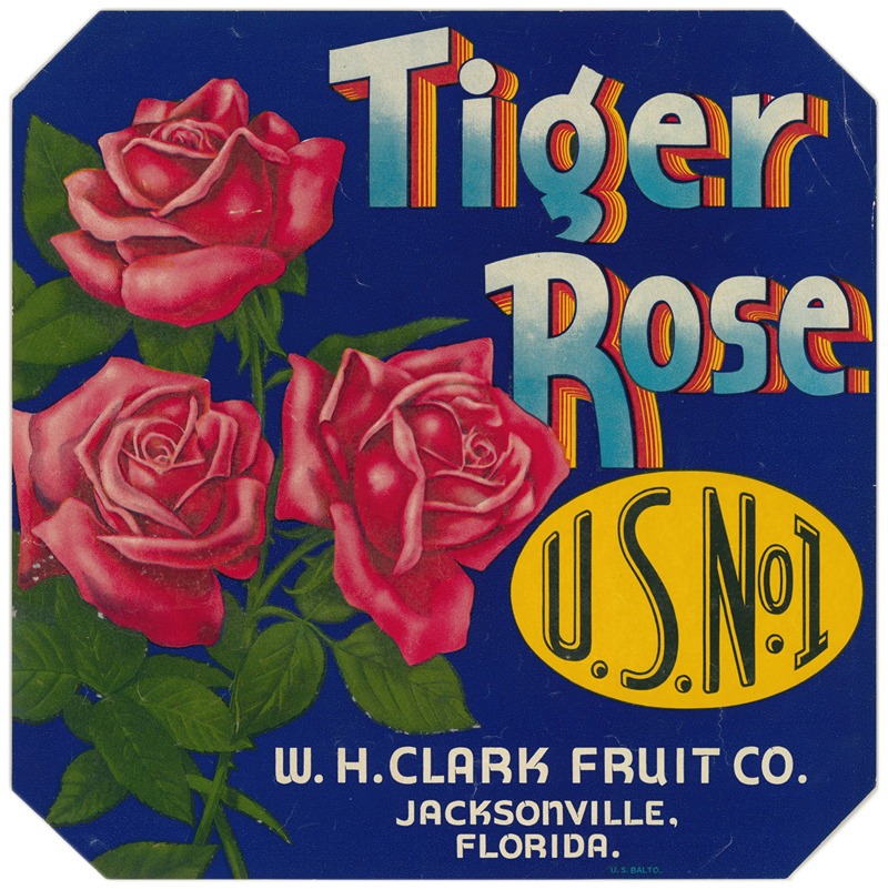 Anonymous - Tiger Rose Fruit Label