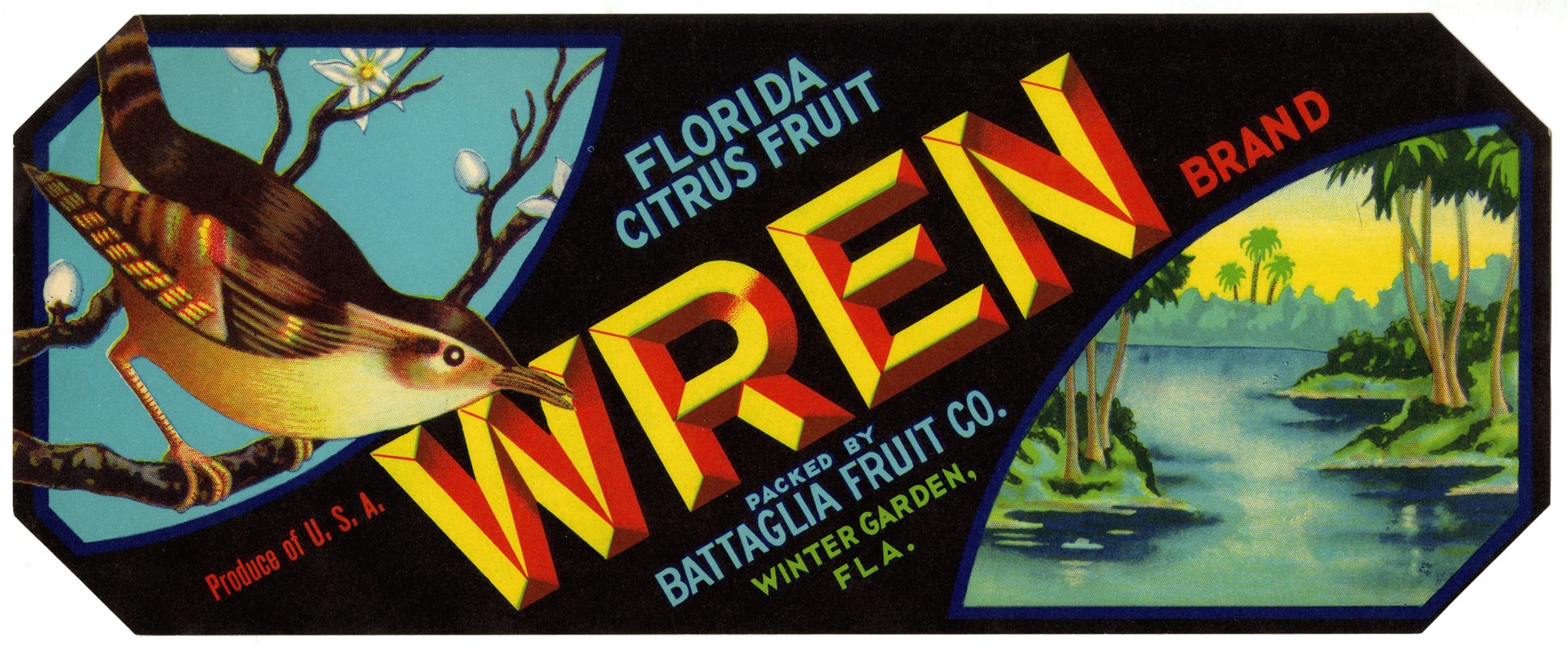 Anonymous - Wren Brand Florida Citrus Fruit Label