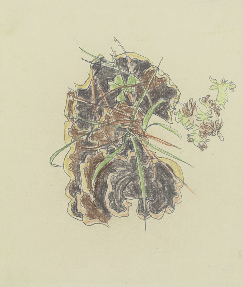 August Babberger - Study of plants