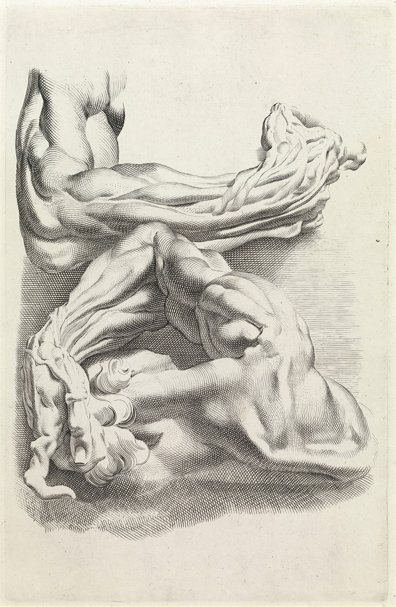 Peter Paul Rubens - Muscles