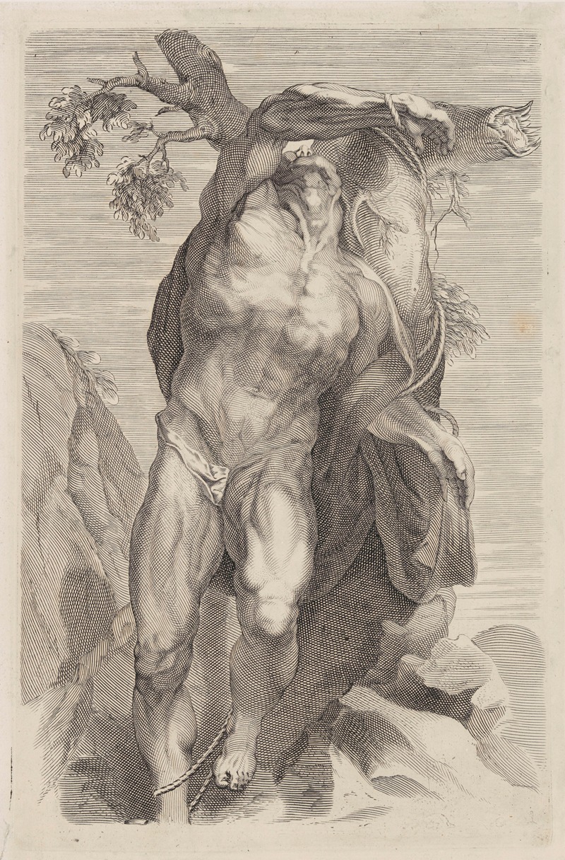 Peter Paul Rubens - Naked Man Tied Up