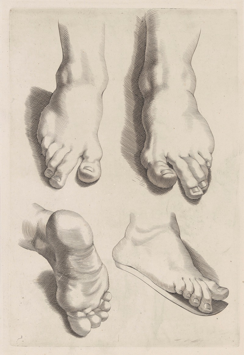 Peter Paul Rubens - Study of Feet