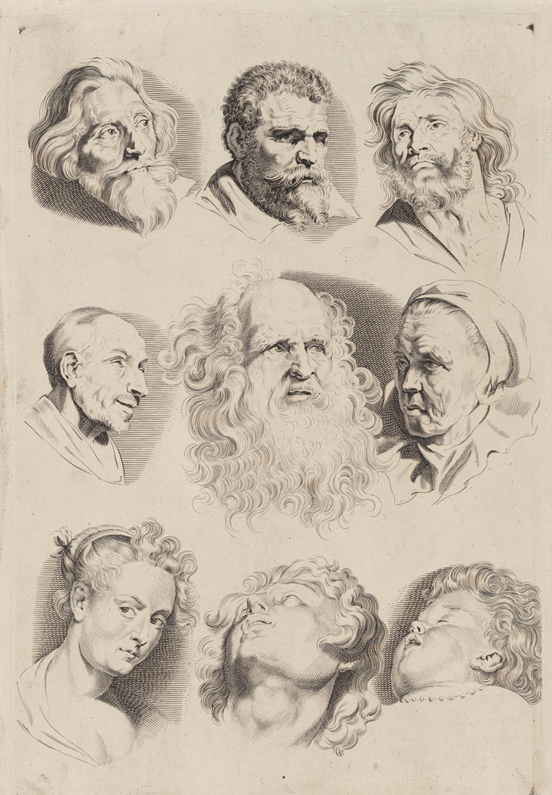 Peter Paul Rubens - Study of Heads