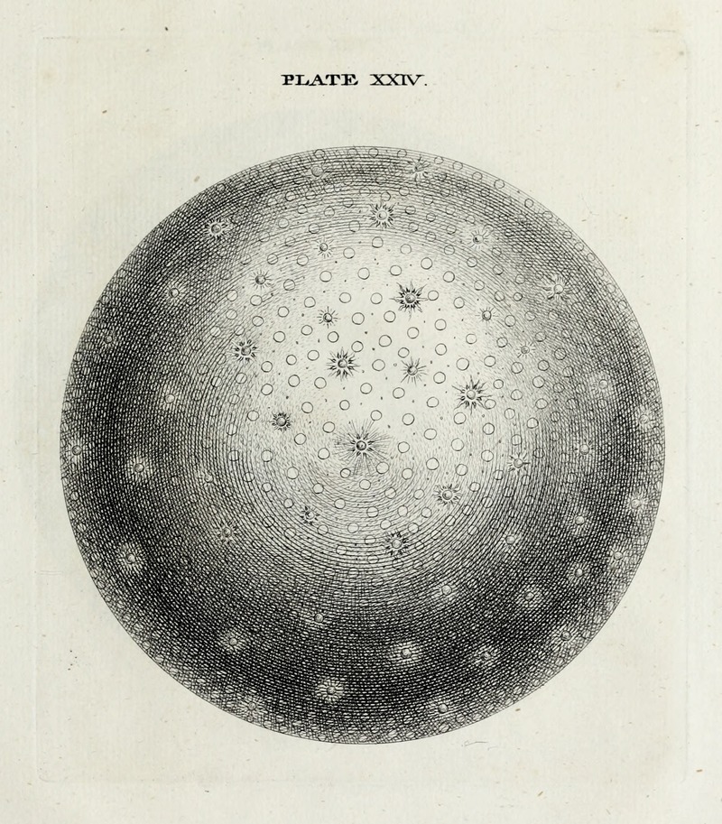 Thomas Wright - An original theory or new hypothesis of the universe, Plate XXIV