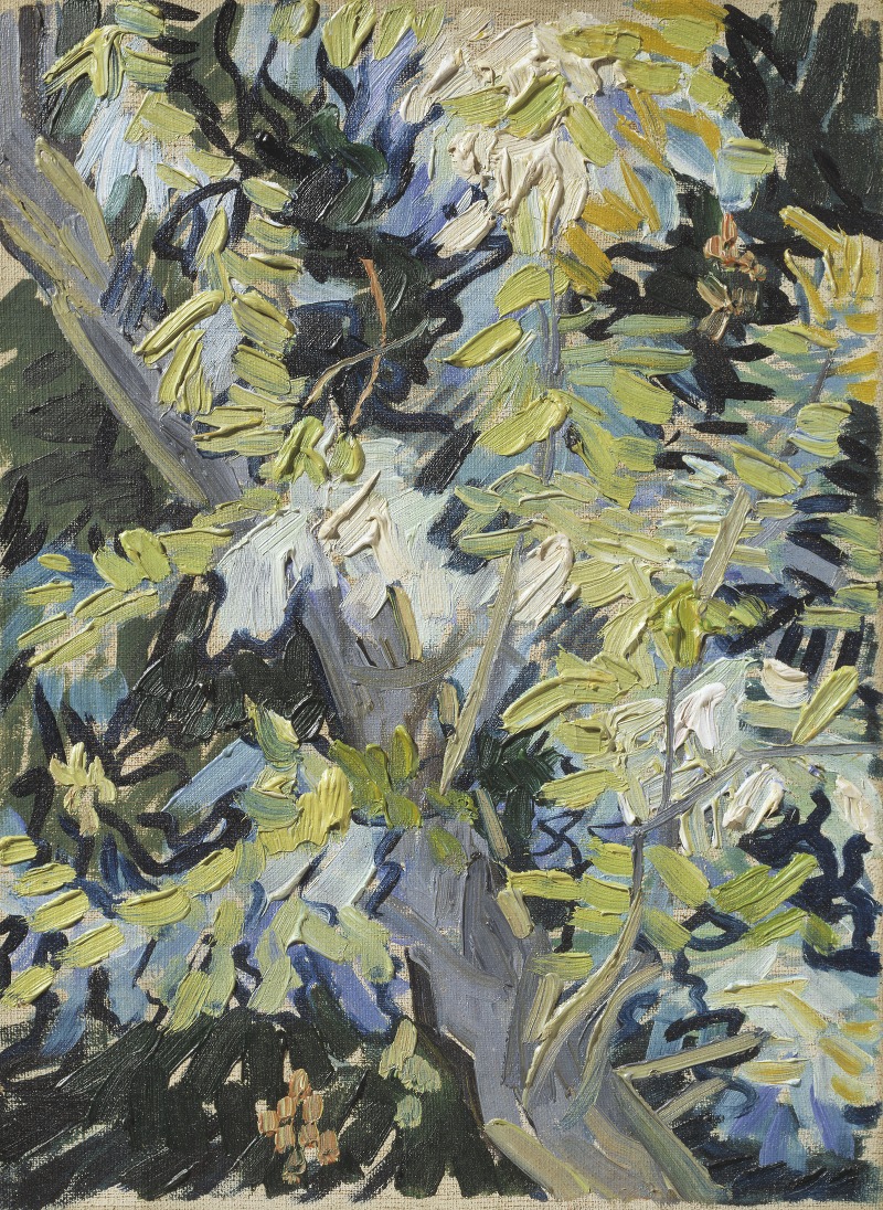Vincent van Gogh - Acacia in Flowers