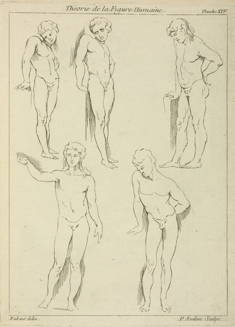 Peter Paul Rubens - Five male figures