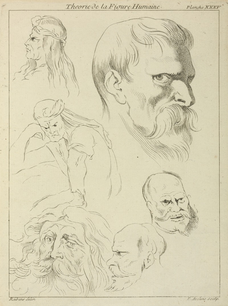 Peter Paul Rubens - Five studies of men’s heads displaying various hair styles, beards and mustaches; one seated figure, half-length