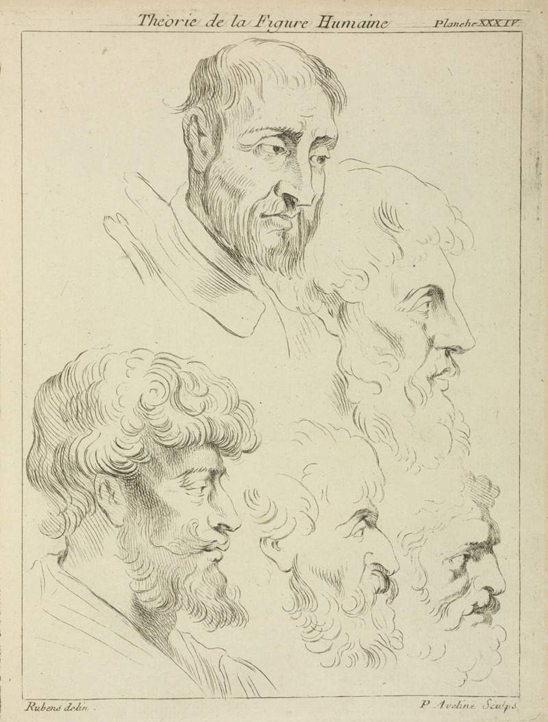 Peter Paul Rubens - Five studies of men’s heads, four in profile