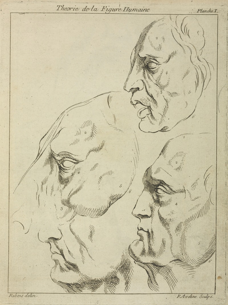 Peter Paul Rubens - Four faces–three human, one horse– in profile