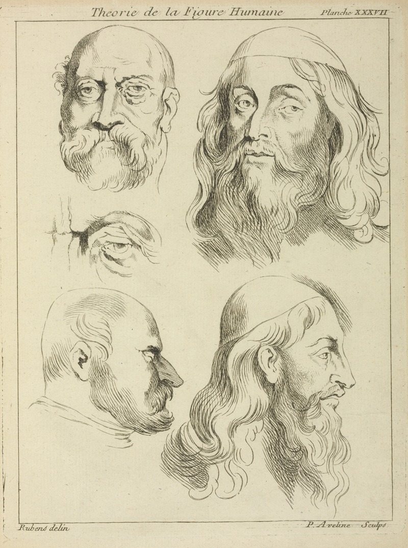 Peter Paul Rubens - Four studies of men’s heads, and an eye