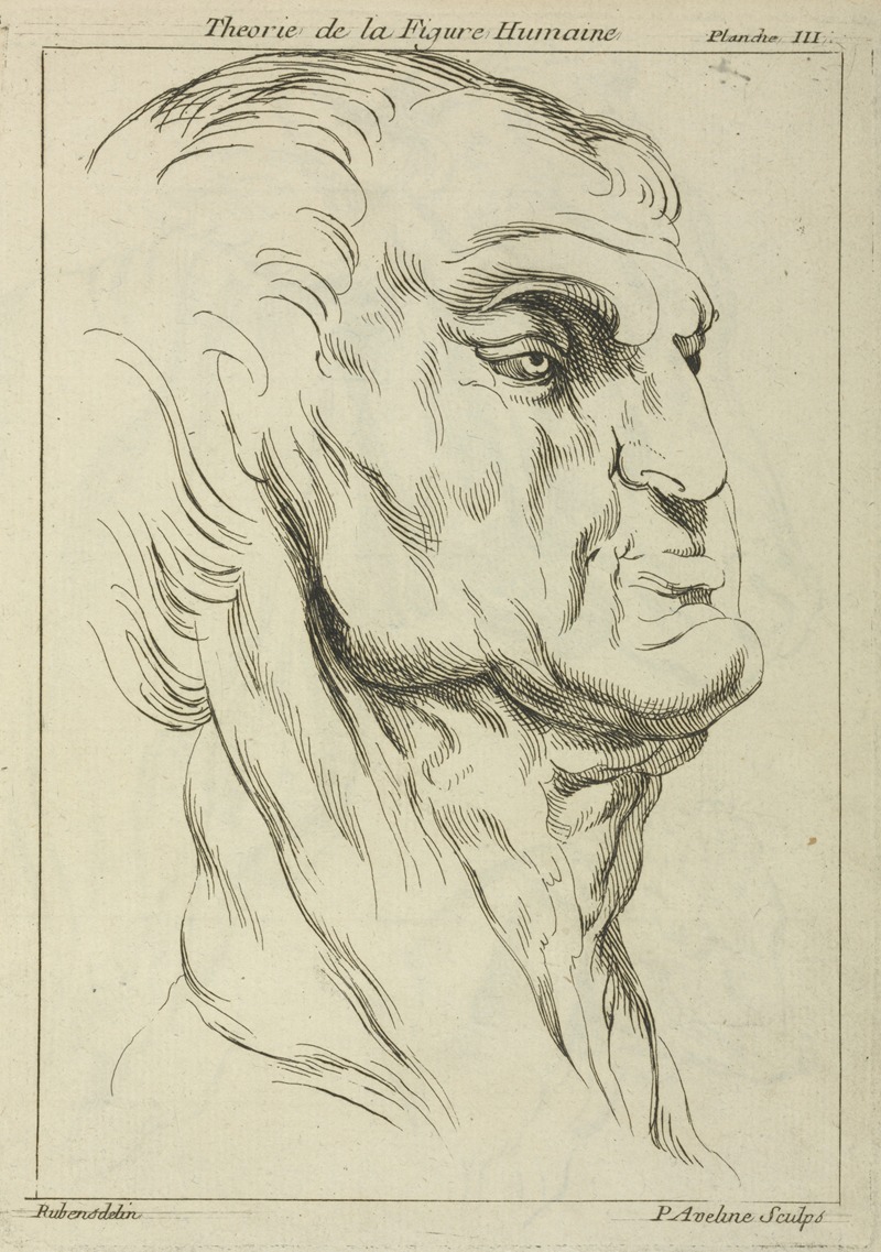 Peter Paul Rubens - Head of a man