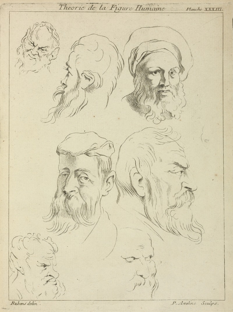 Peter Paul Rubens - Seven male heads, all with beards, two wearing caps