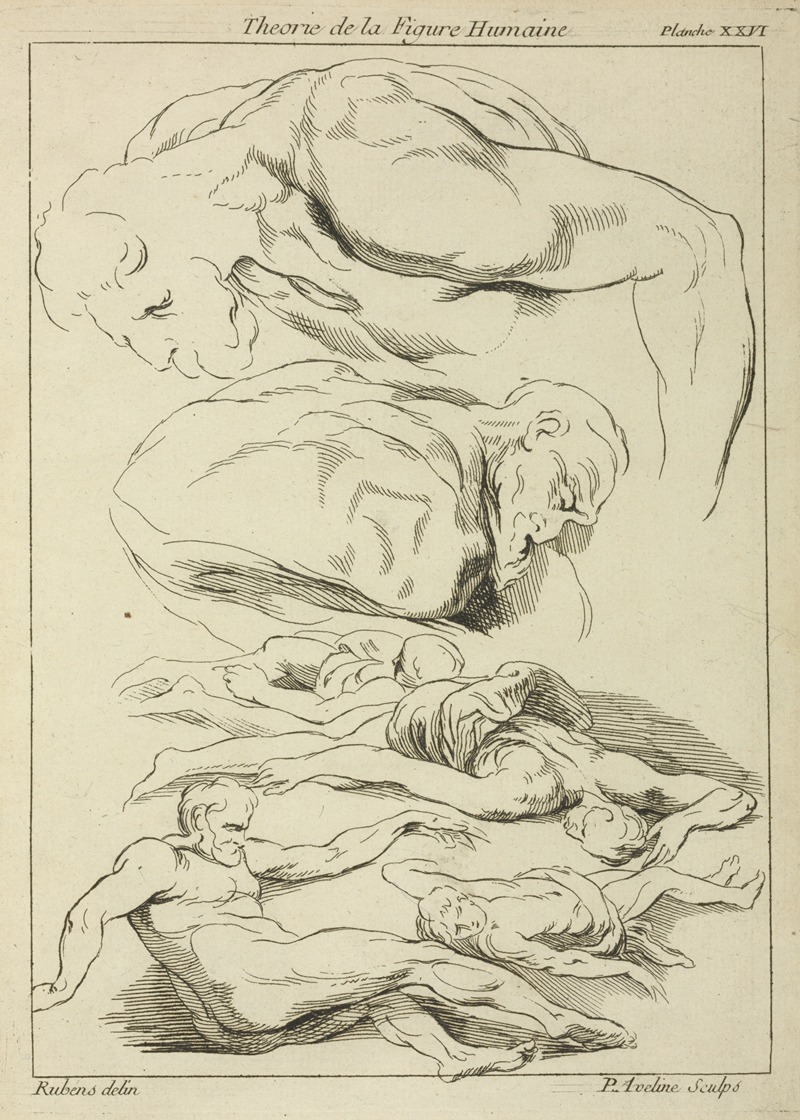 Peter Paul Rubens - Six studies of male figures in various prone and supine positions