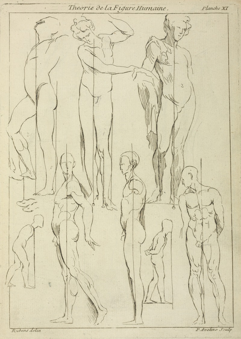 Peter Paul Rubens - Studies of figures in upright positions