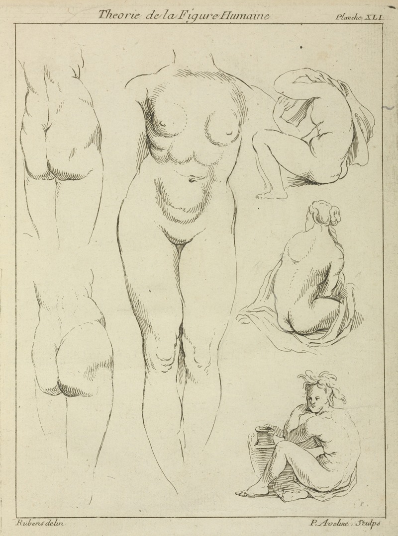Peter Paul Rubens - Studies of the female torso, buttocks, and seated figures, dorsal view