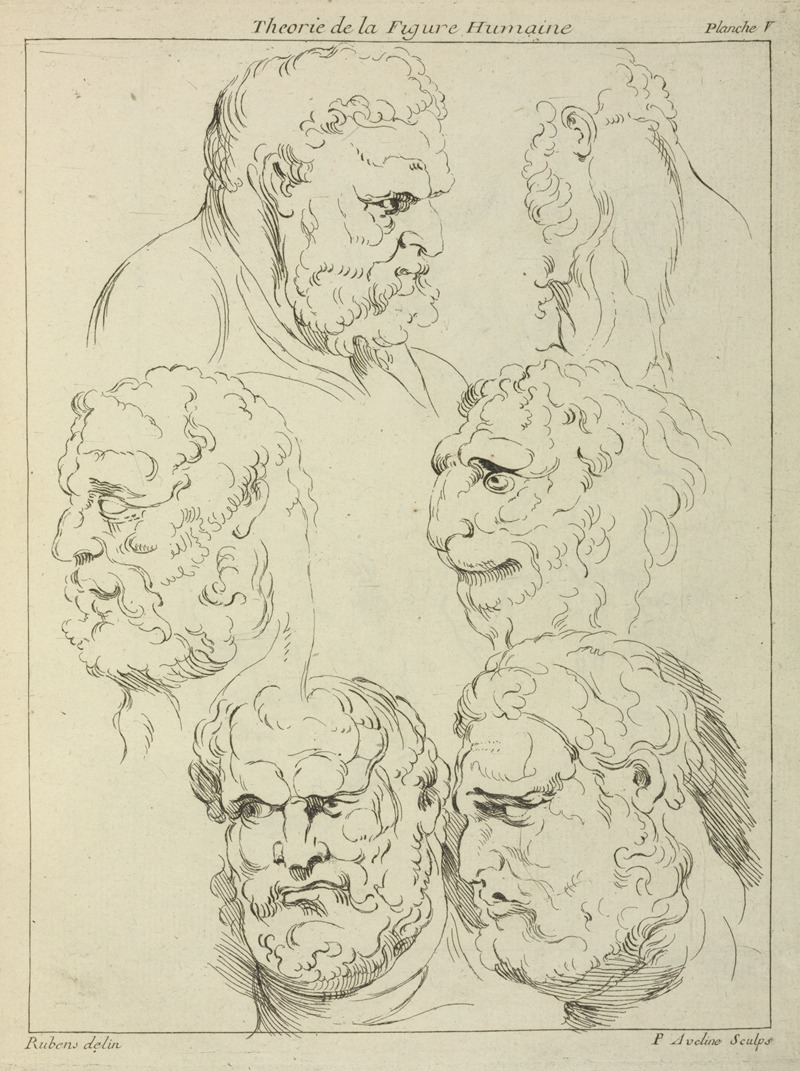 Peter Paul Rubens - Studies of the head of a bearded man, and the head of a creature