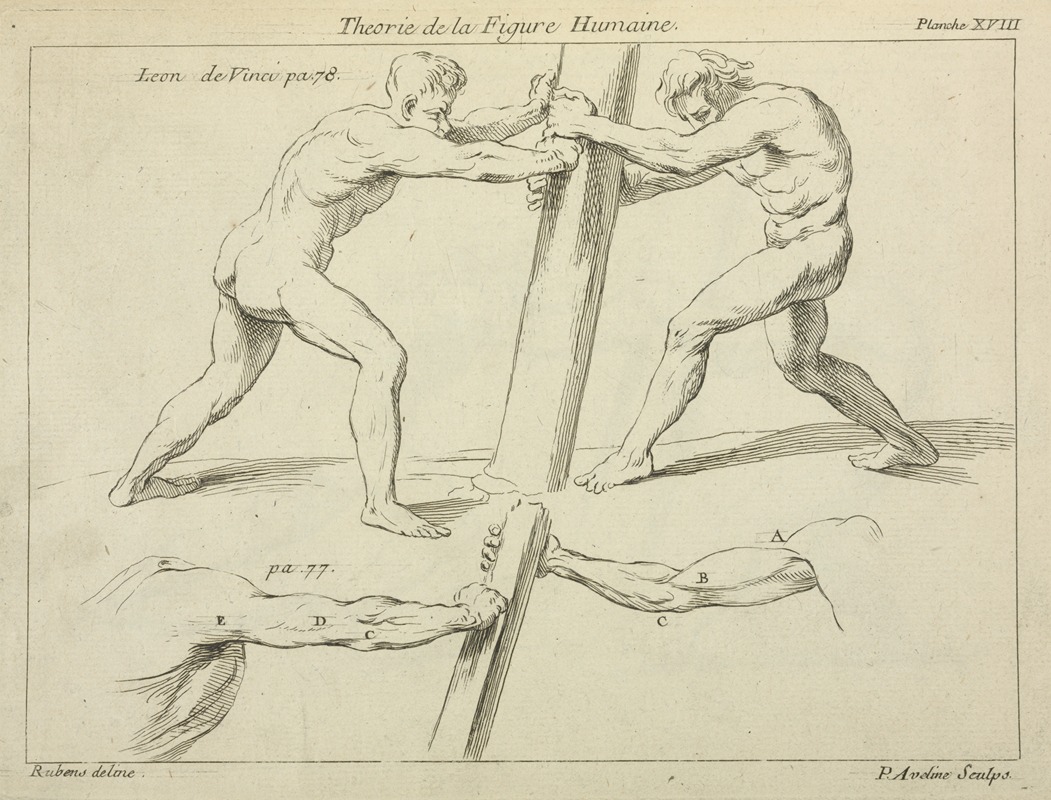 Peter Paul Rubens - Studies of two figures pushing against a pillar
