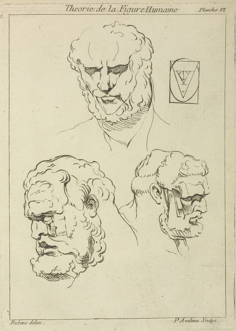 Peter Paul Rubens - Three studies of a man’s head and beard