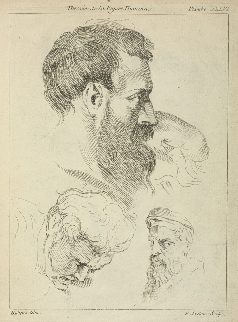 Peter Paul Rubens - Three studies of men’s heads
