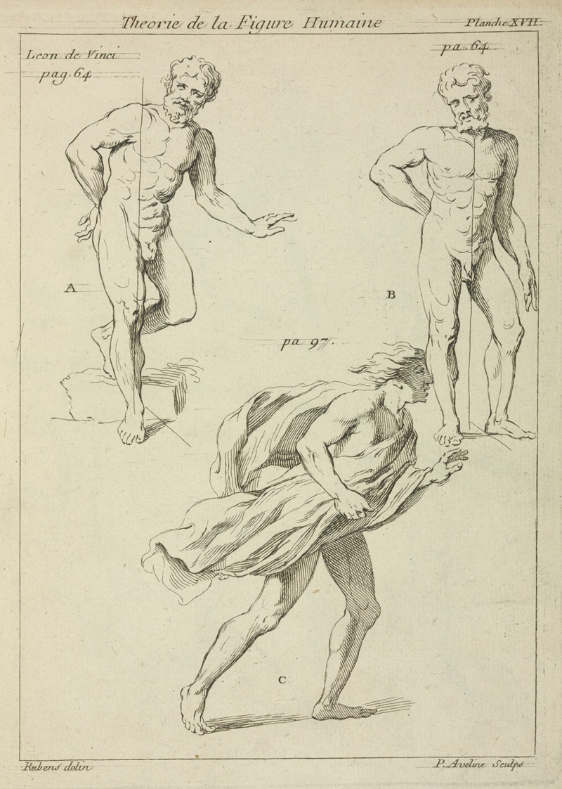 Peter Paul Rubens - Three studies of the figure