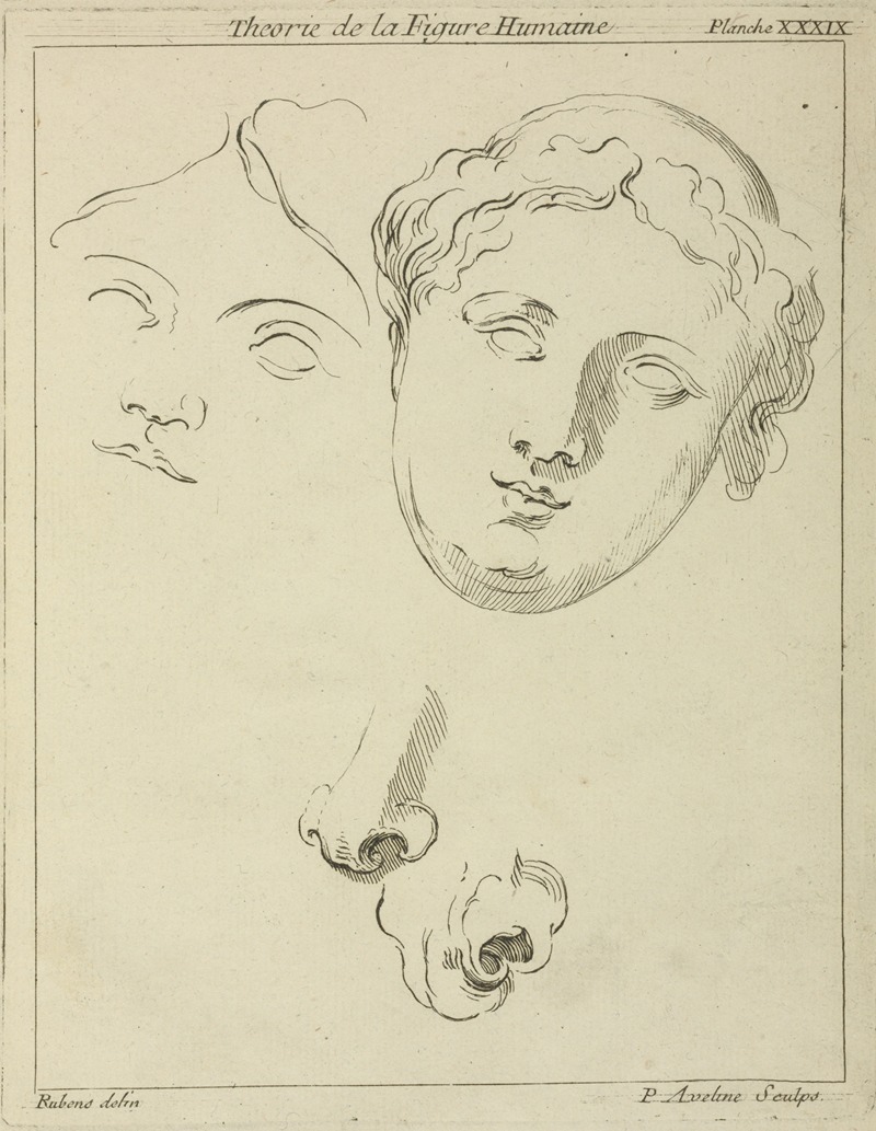 Peter Paul Rubens - Two human female faces and two noses–one human, animal