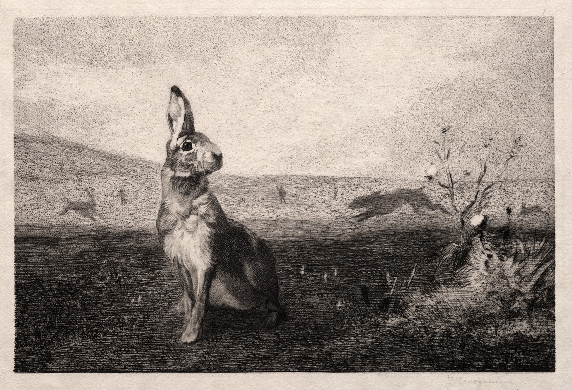 Félix Bracquemond - The Hare (after A. de Balleroy)