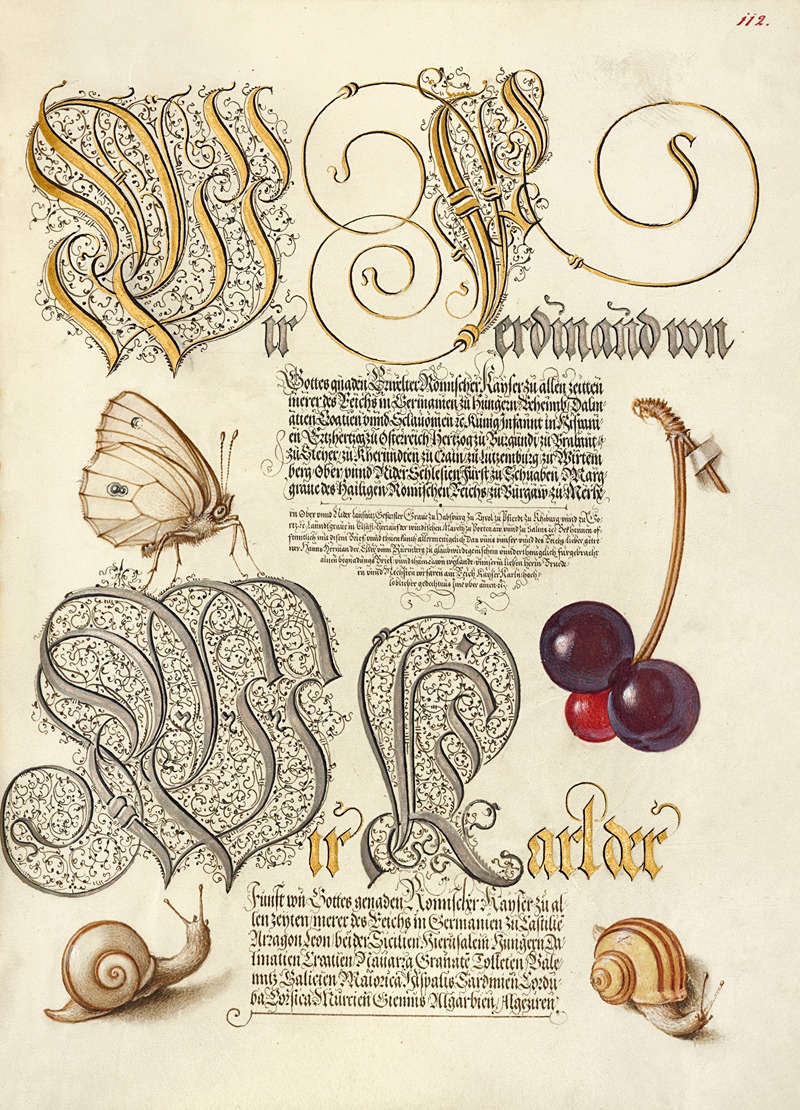 Joris Hoefnagel - Butterfly, Sweet Cherry, and Land Snails