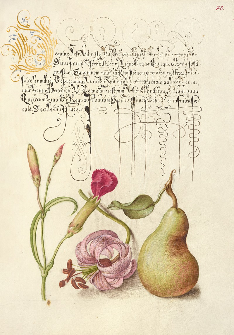 Joris Hoefnagel - Carnation, Martagon Lily, and Pear